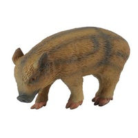 Wild Piglet