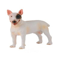 Bull Terrier Male Dog