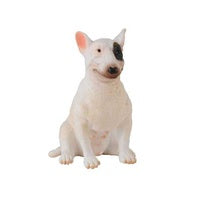 Bull Terrier Female Dog