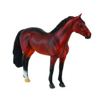 Hanoverian Stallion Bay