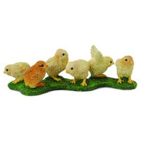 Chicks