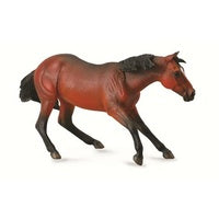Quarter Horse Stallion Bay