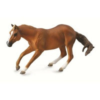 Quarter Horse Stallion Sorrel