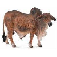 Brahman Bull