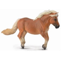 Shetland Pony Chestnut