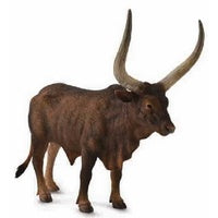 Ankole Watusi Bull