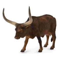 Ankole Watusi Cow