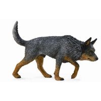 Blue Cattle Dog
