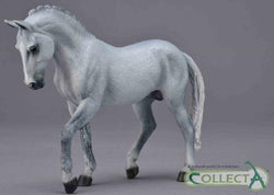 Trakehner Stallion Grey