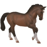 Warmblood Stallion Bay